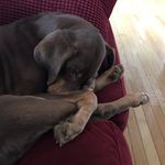 Ben Shoemaker - @bshoe27 - Instagram