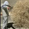 ELIEZERBENSHOHAM - @eliezerziv.bs - TikTok