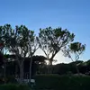 BensHouse - @benshouse_ - TikTok