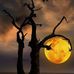 Ben Showalter - Facebook