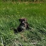 Benjamin Winston Showalter - @benny.w.show - Instagram