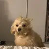 BENSIDES - @bensides - TikTok