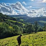 Ben Sidwell - @bensidwell - Instagram