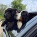 Ben Siebert - Facebook