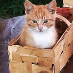 Ben Sikora - @ben17458 - Instagram