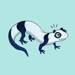 Ben Sills - @bb_rainbow_fish - Instagram