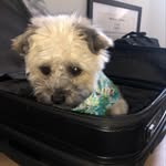 Benji Simkins - @noboundariesbenji - Instagram