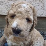 Ben Simms - @76_simms_76 - Instagram