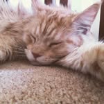@ben_simms_shs - Instagram