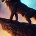 Benett Simonovics - Facebook