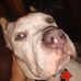 Ben Singletary - Facebook