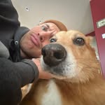 Ben Sipos - @sipos.ben - Instagram