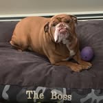 Ben Sirois - @ben_sirois21 - Instagram