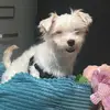 Benjamin Sisko - @benjamin.sisko - TikTok