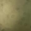 BEN Sitton - @bensitton09 - TikTok