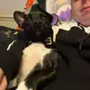 Ben Sievewright - @ben.sievewright - TikTok
