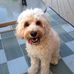 Ben Skilling - Facebook