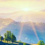 benjamin skoog - @benskoog2023 - Instagram