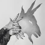 benski wenski - @benskyacht - Instagram