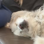 Ben Slavin - @cravinsomeslavin - Instagram
