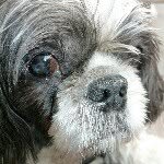 @bensloan - Instagram