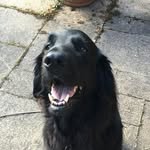 ben - @ben_smeed - Instagram