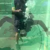 Ben Smeltzer - @bensmeltzer4 - TikTok