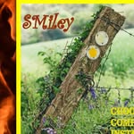 Ben Smiley - @smileyinusa - Instagram