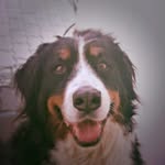 Bensmiley - @bensmiley8145 - Instagram