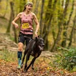 Georgina Lambert - @benson.bees.adventures - Instagram