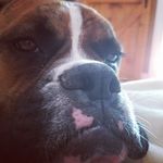Ben Soule - @ben_soule - Instagram