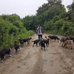 bensouter - @bensouter1 - Instagram
