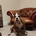 Benjamin South - Facebook