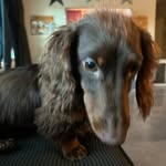 Ben sowers_2024 - @sowers_2024 - Instagram