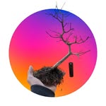 Ben Spiller - @spilldogs_bonsai - Instagram