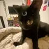 Ben Spiller - @ben.spiller5 - TikTok