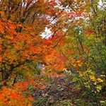 Ben Springer - @springer2345 - Instagram