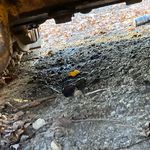 Ben Springer - @bossyboi964 - Instagram