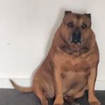 @ben.staples - Instagram