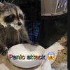 ben staples - @bensfitnessadventure - TikTok