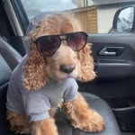 Ben Stapleton - @benjy3996 - Instagram