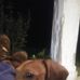 Ben Starling - Facebook