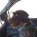Ben Starnes - Facebook