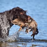 Ben Starnes - @benarte2018 - Instagram