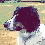 Benjamin Stauber - @benstauber - Instagram