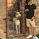 Ben Steckel - @ben_steckel - Instagram