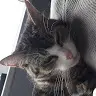 Ben Steers - @user936680971 - TikTok