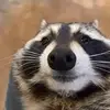 Ben Steffens - @bensteffens - TikTok