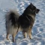 Bente Steffensen - @bente.steffensen - Instagram
