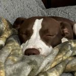 Ben Stegall - @stegall.ben - Instagram